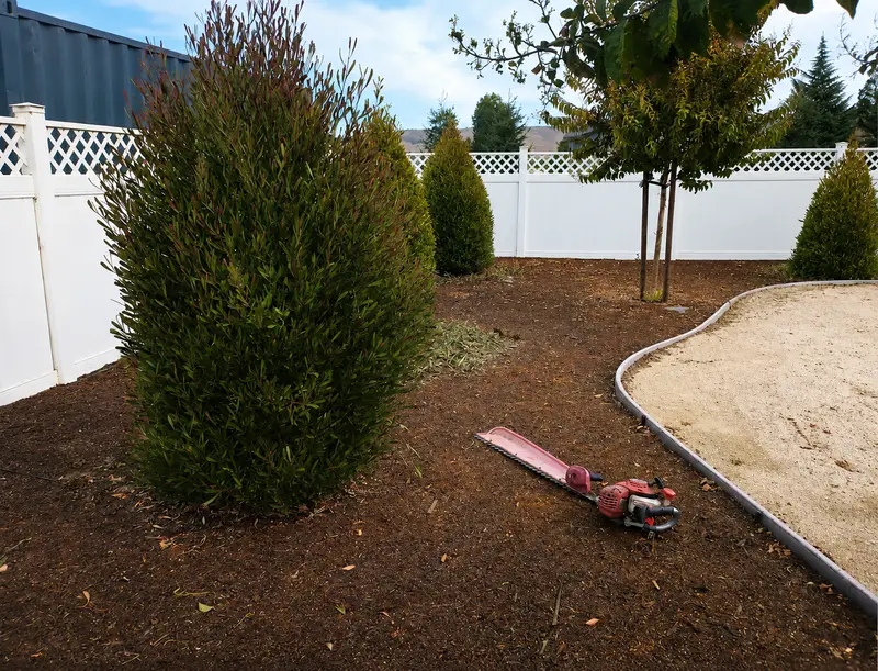 Backyard reset — mulch, edging, hedge work