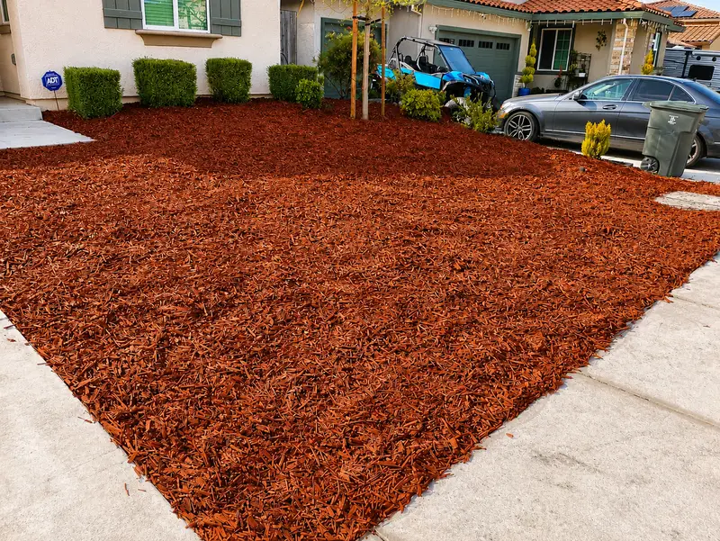 Fresh mulch — front yard refresh